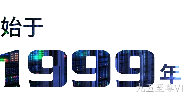 九五至尊VI